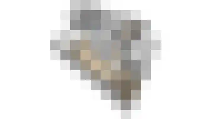 Bastion 17 Oost-Souburg thumbnail 6