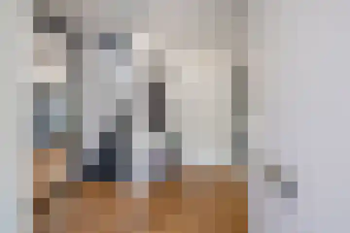 Bastion 17 Oost-Souburg thumbnail 8