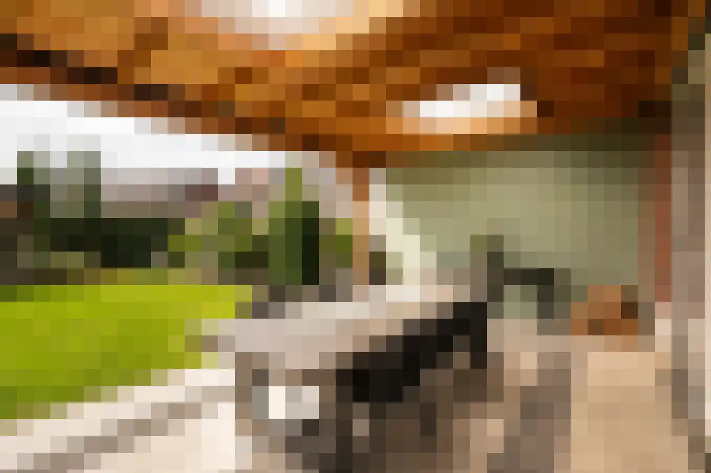 Bastion 18 Meteren thumbnail 41