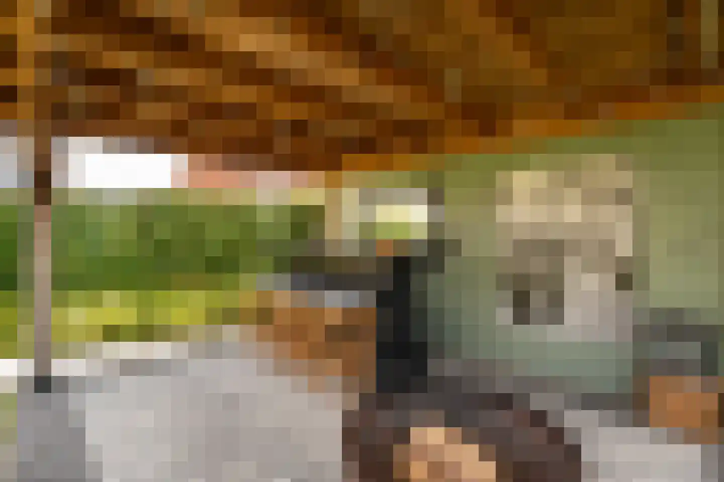 Bastion 18 Meteren thumbnail 45