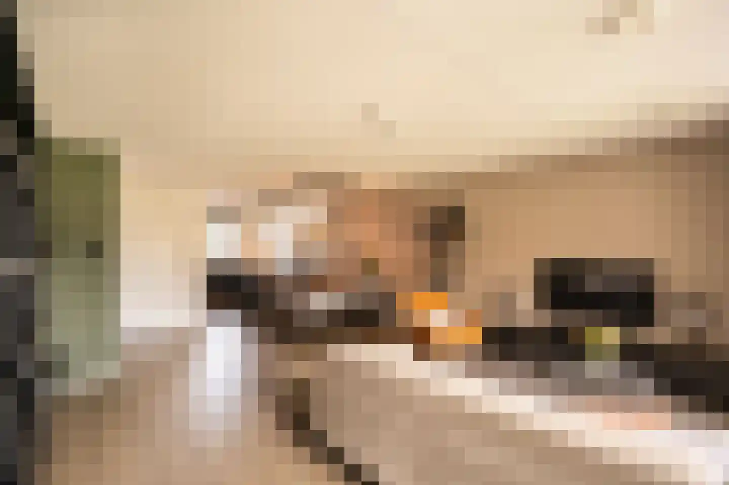 Bastion 18 Meteren thumbnail 7