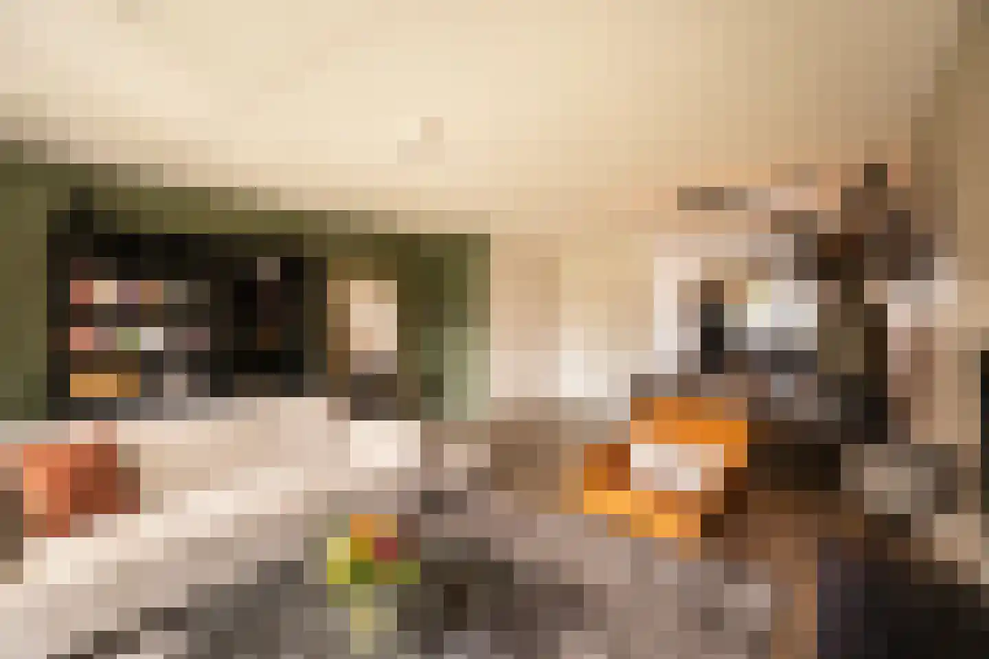 Bastion 18 Meteren thumbnail 8