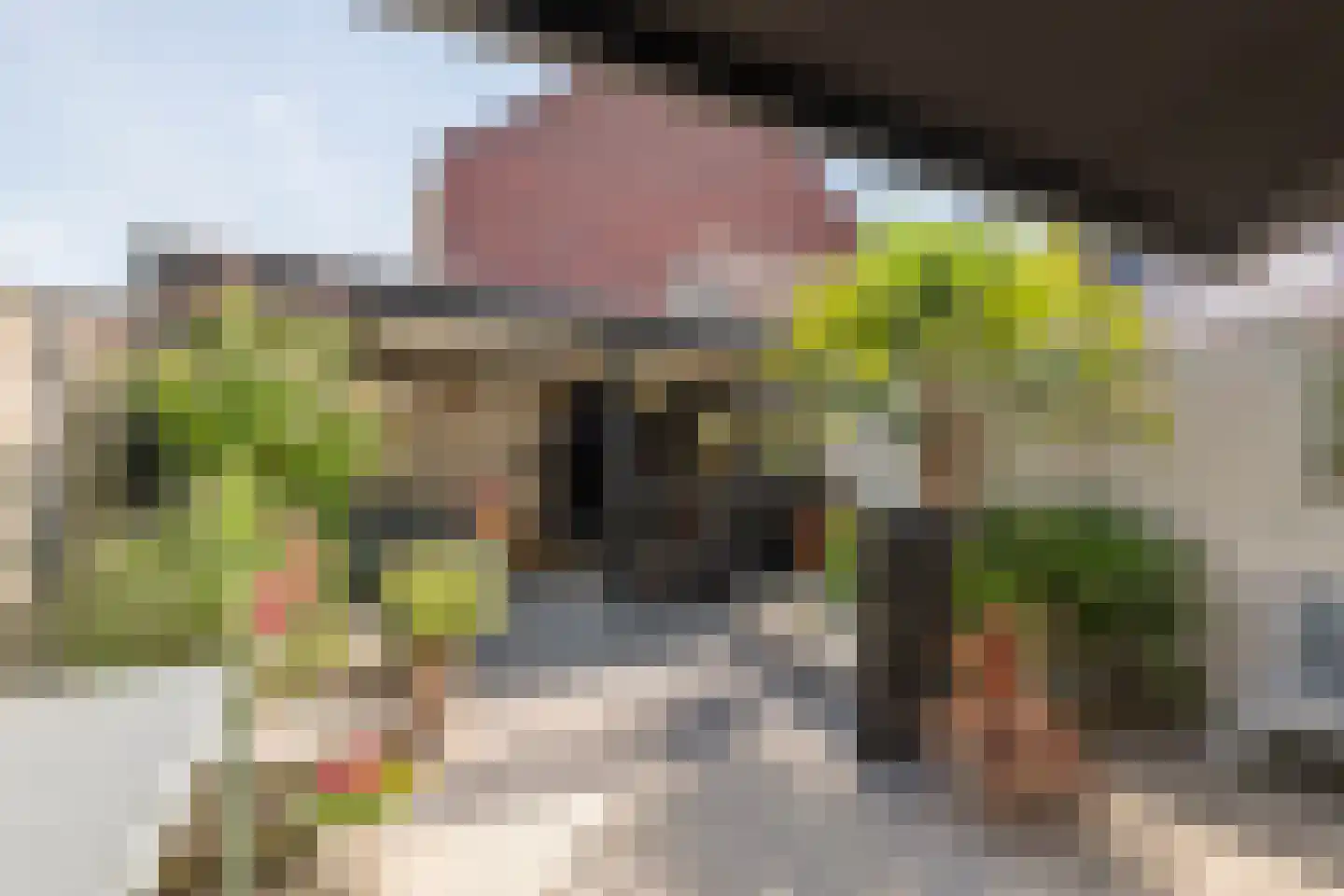 Bastion 2 Meteren thumbnail 26