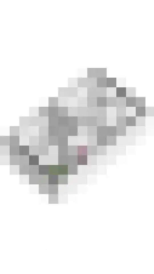 Bastion 2 Meteren thumbnail 36