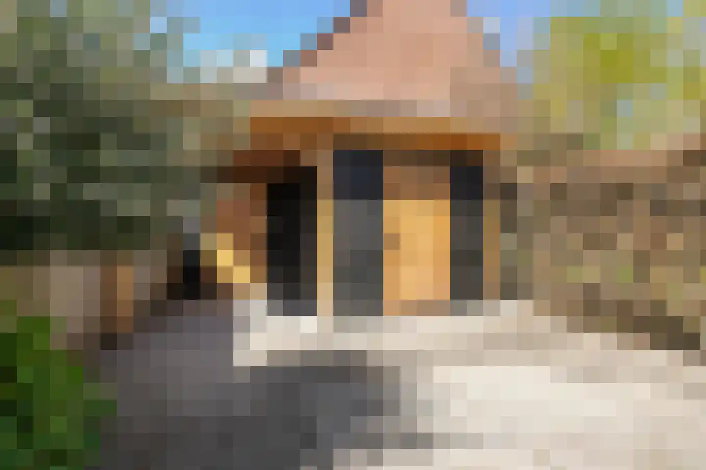 Bastion 25 Zevenaar thumbnail 19