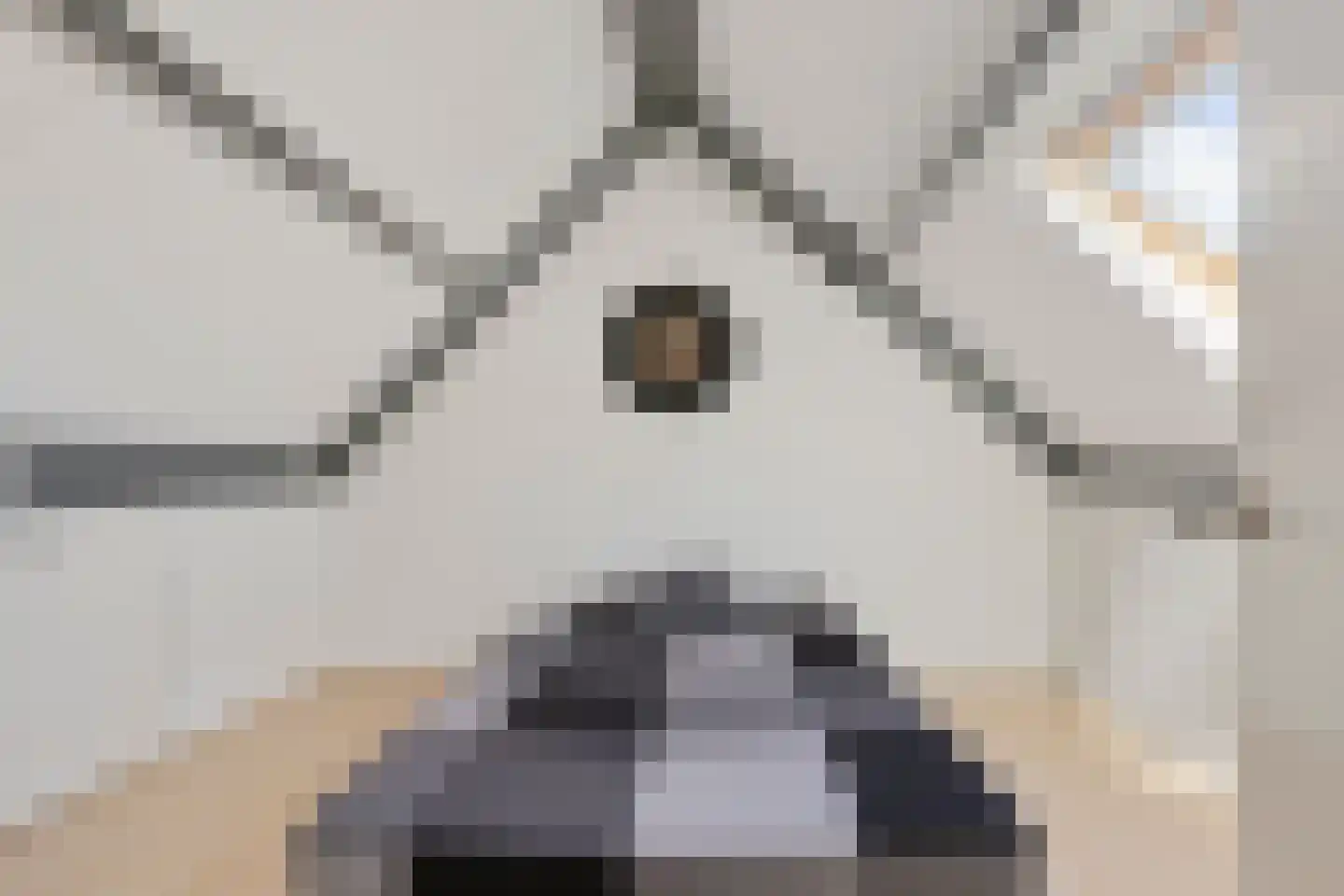 Bastion 25 Zevenaar thumbnail 39