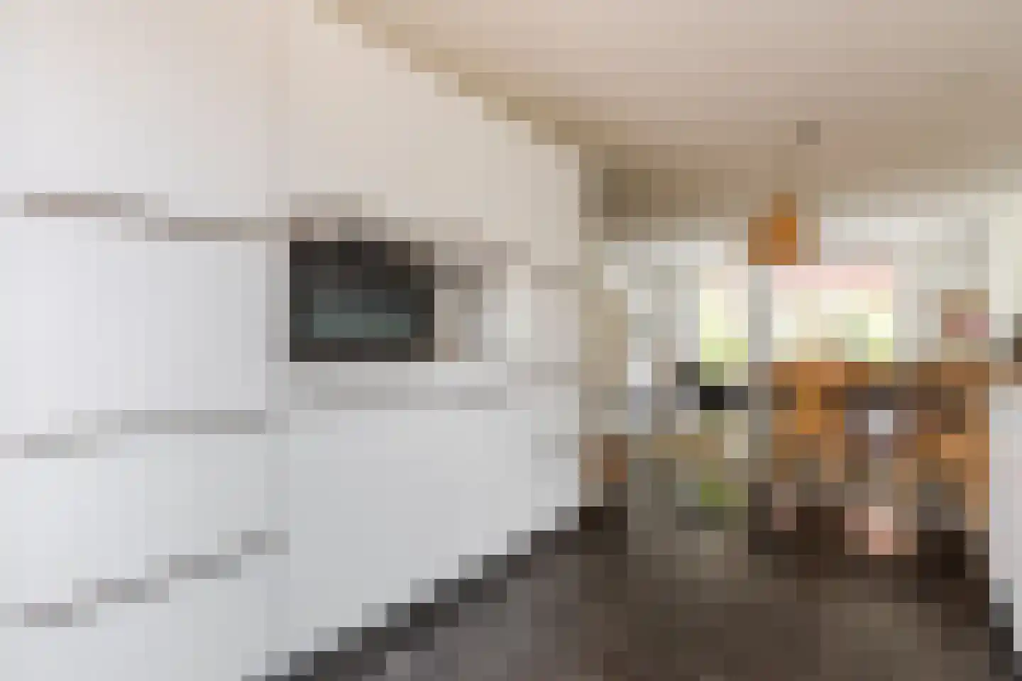 Bastion 3 Wageningen thumbnail 15