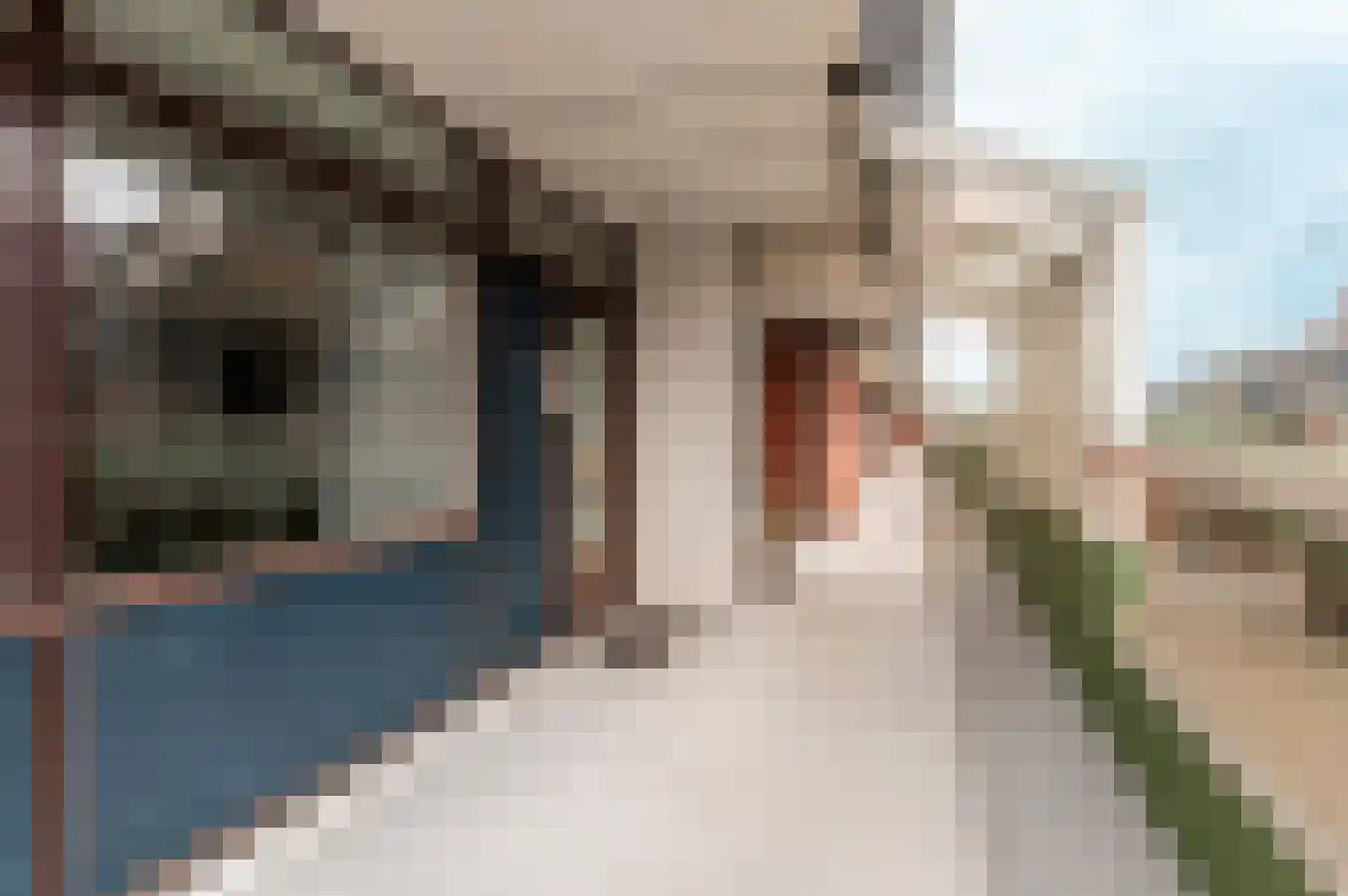 Bastion 345 Lelystad thumbnail 30