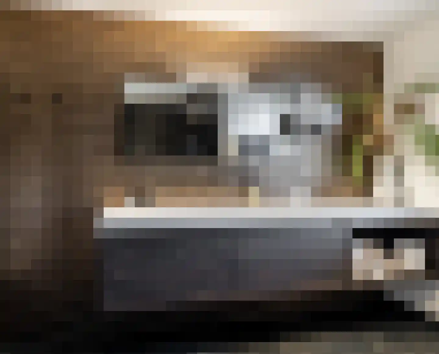 Bastion 36 Terheijden thumbnail 26