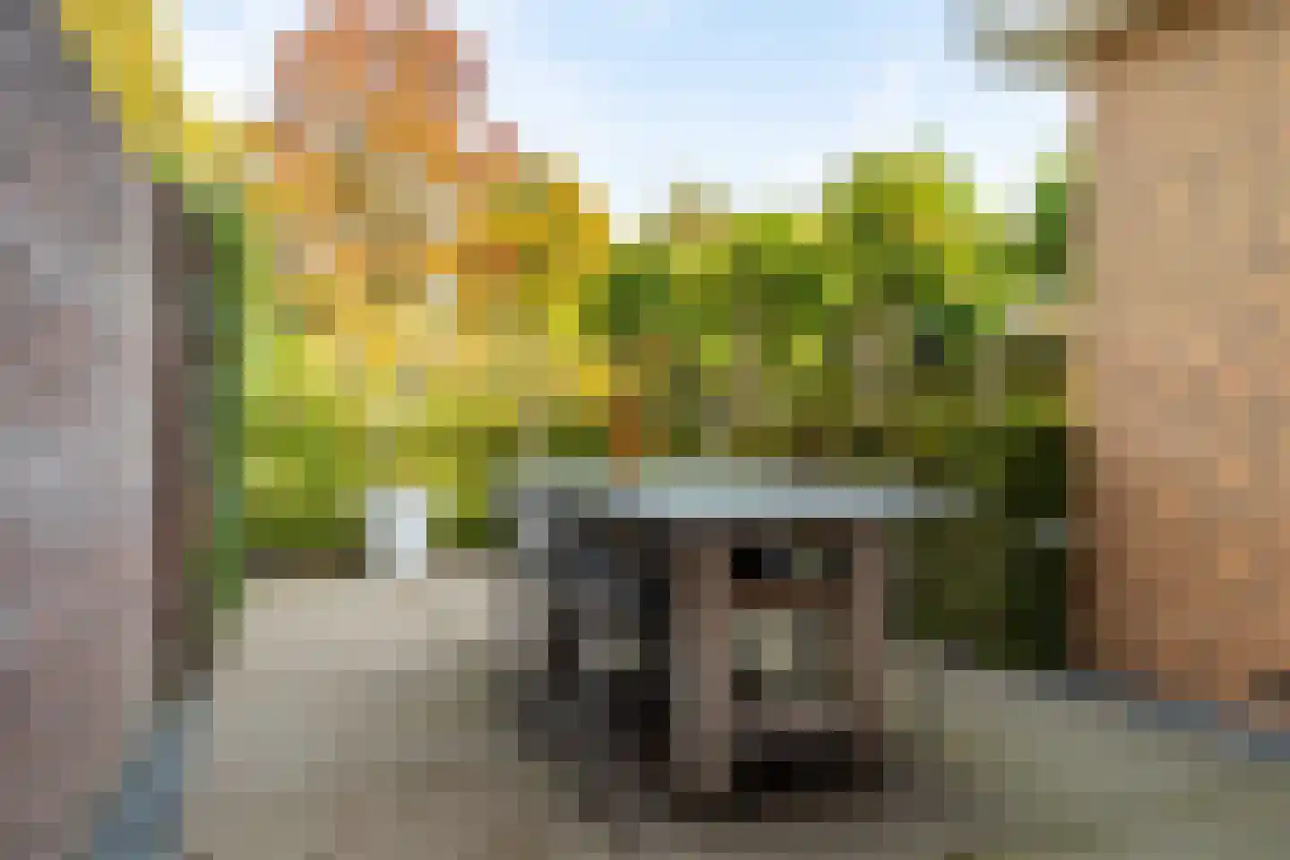 Bastion 36 Terheijden thumbnail 34