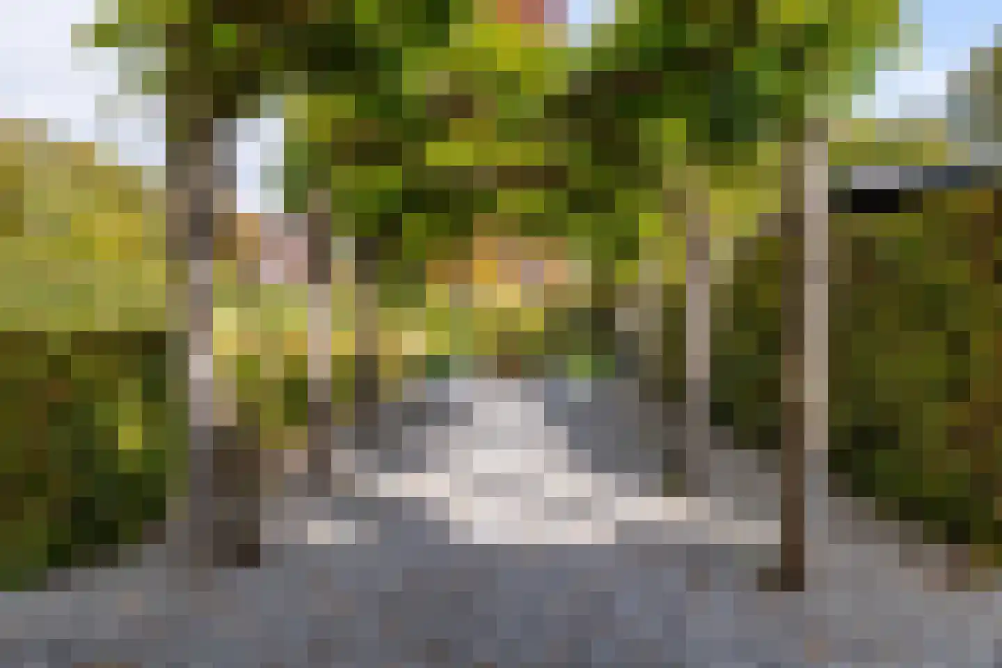Bastion 36 Terheijden thumbnail 36