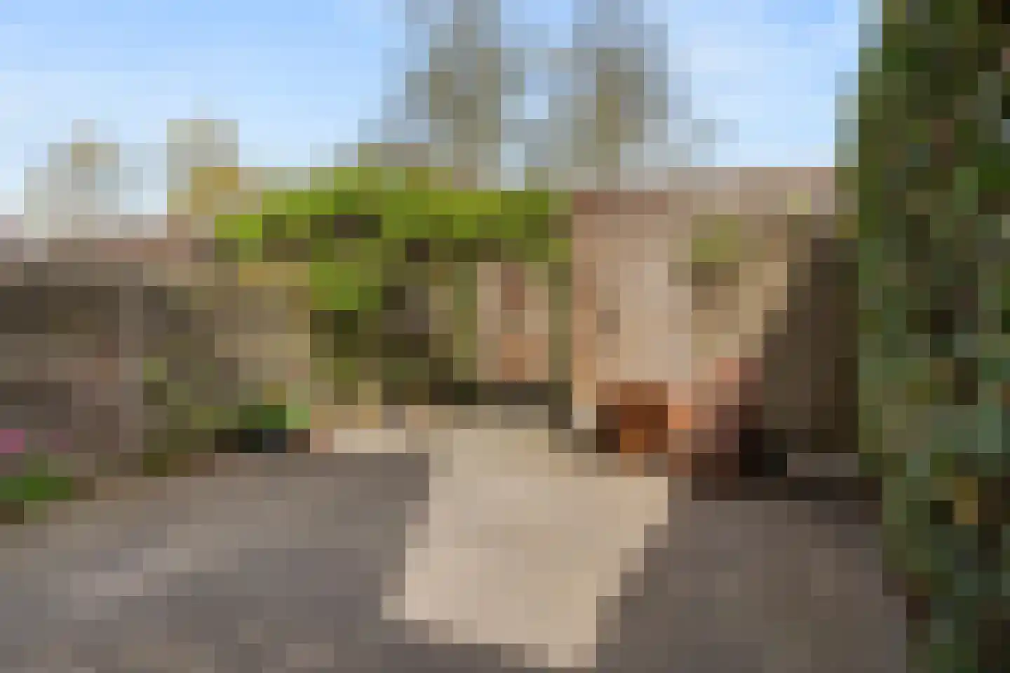 Bastion 37 Wageningen thumbnail 26