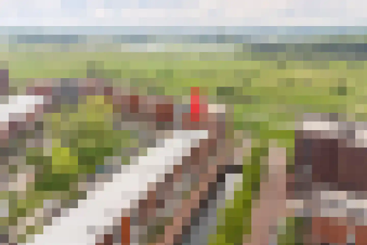 Bastion 37 Wageningen thumbnail 9