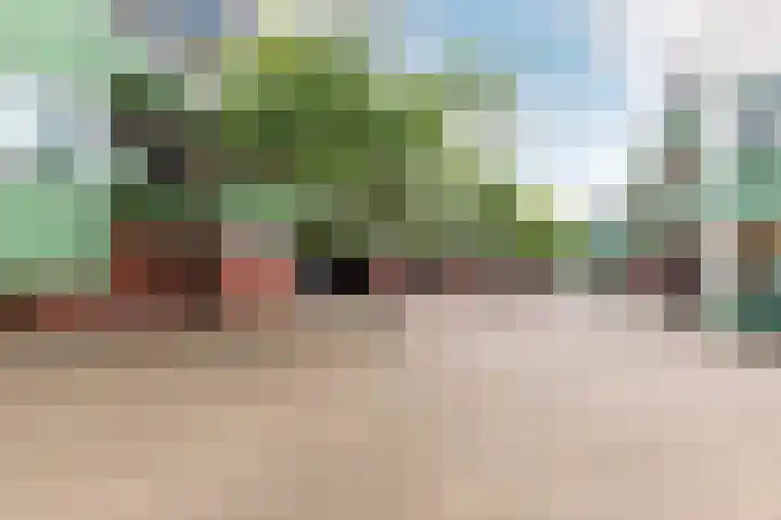 Bastion 383 Lelystad thumbnail 22