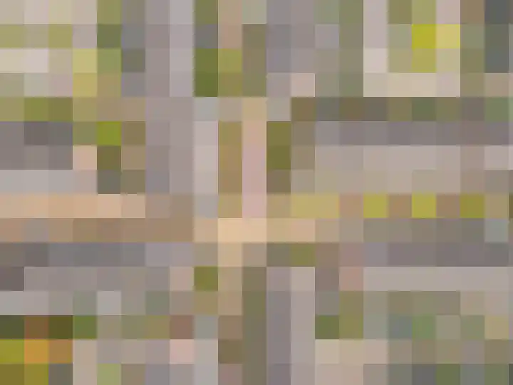 Bastion 383 Lelystad thumbnail 28