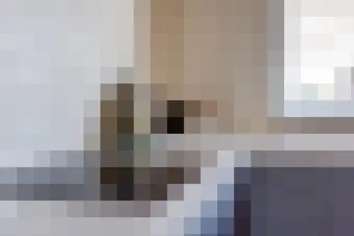 Bastion 4 Meteren thumbnail 13