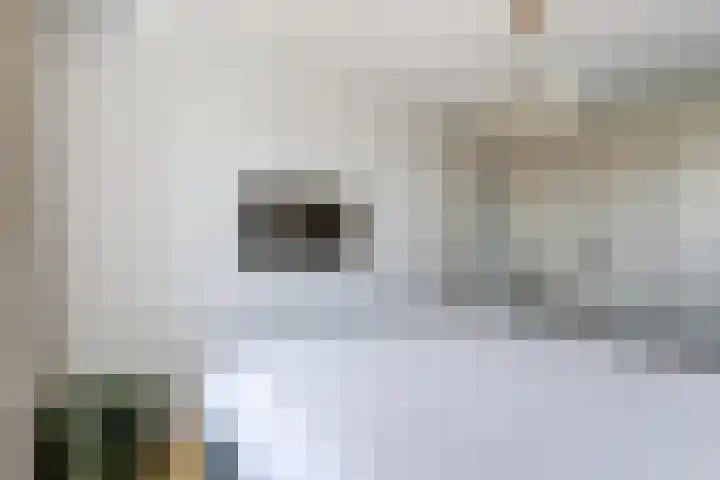 Bastion 4 Meteren thumbnail 24