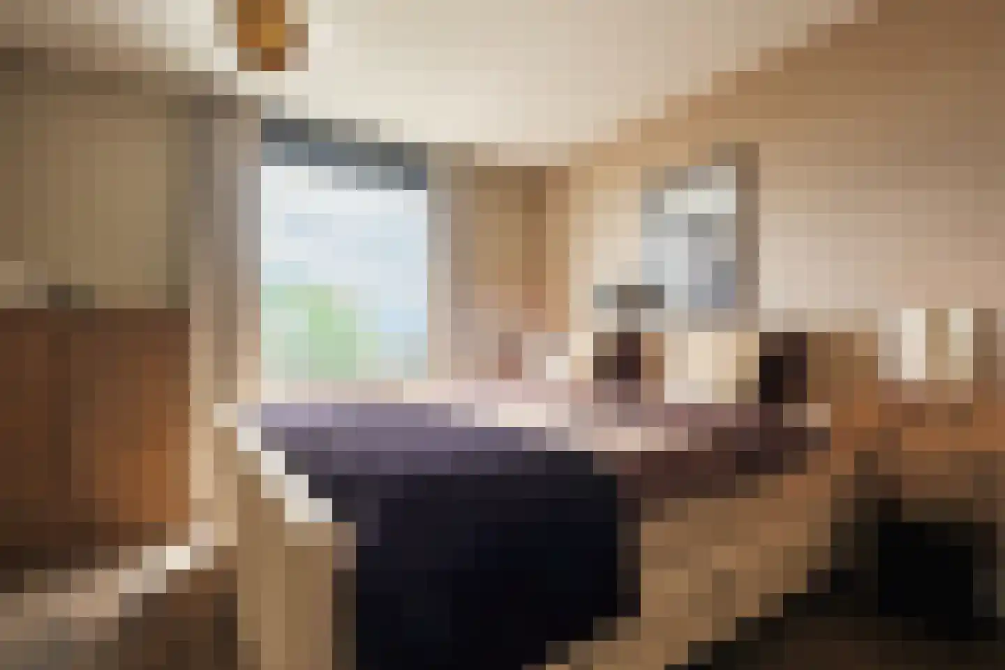 Bastion 40 Venlo thumbnail 18