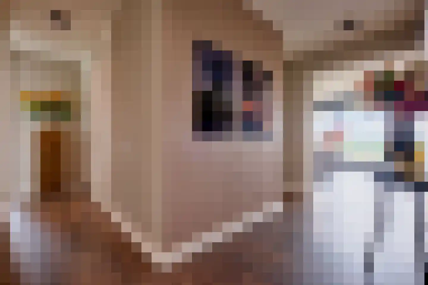 Bastion 40 Venlo thumbnail 5