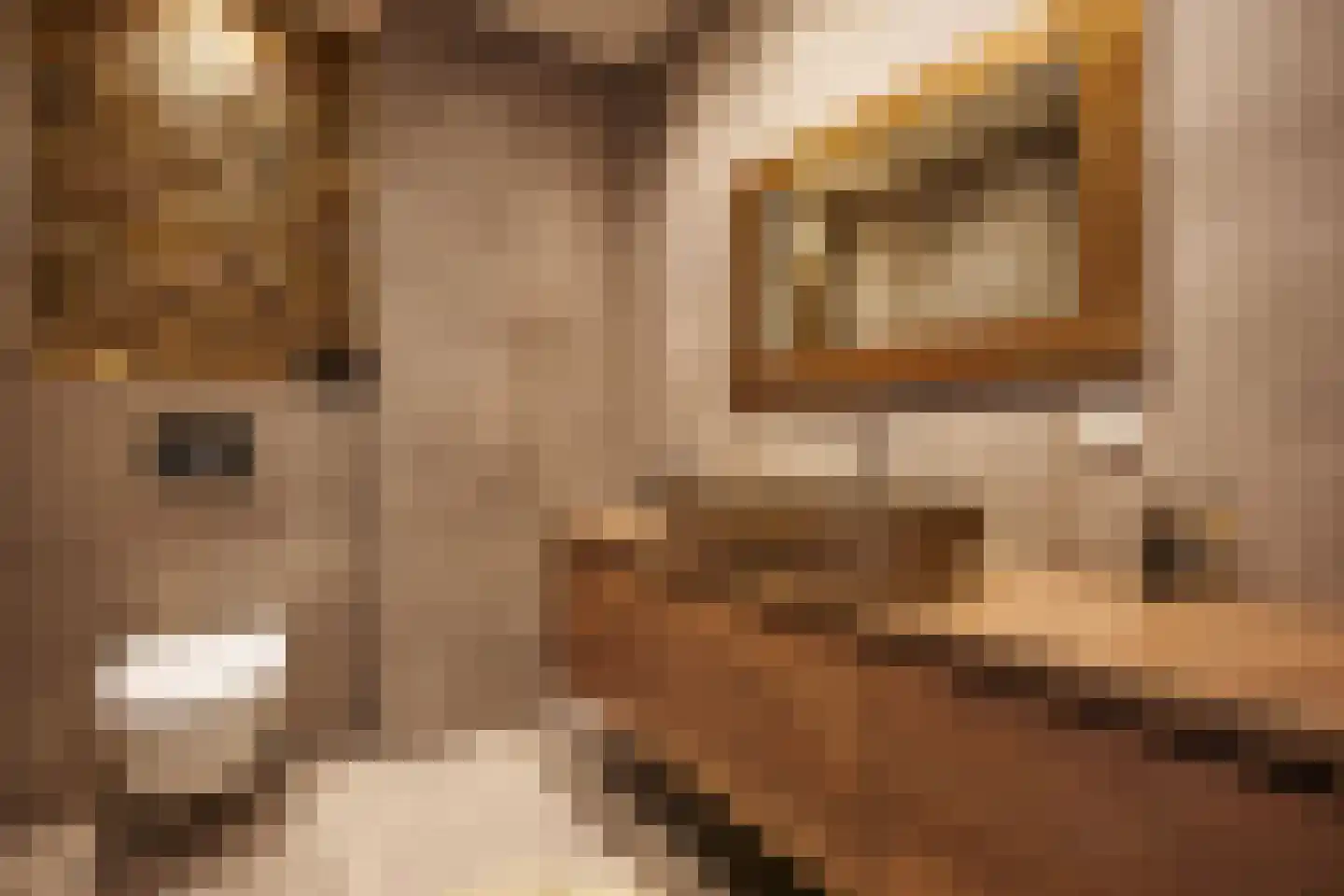 Bastion 40 Venlo thumbnail 6