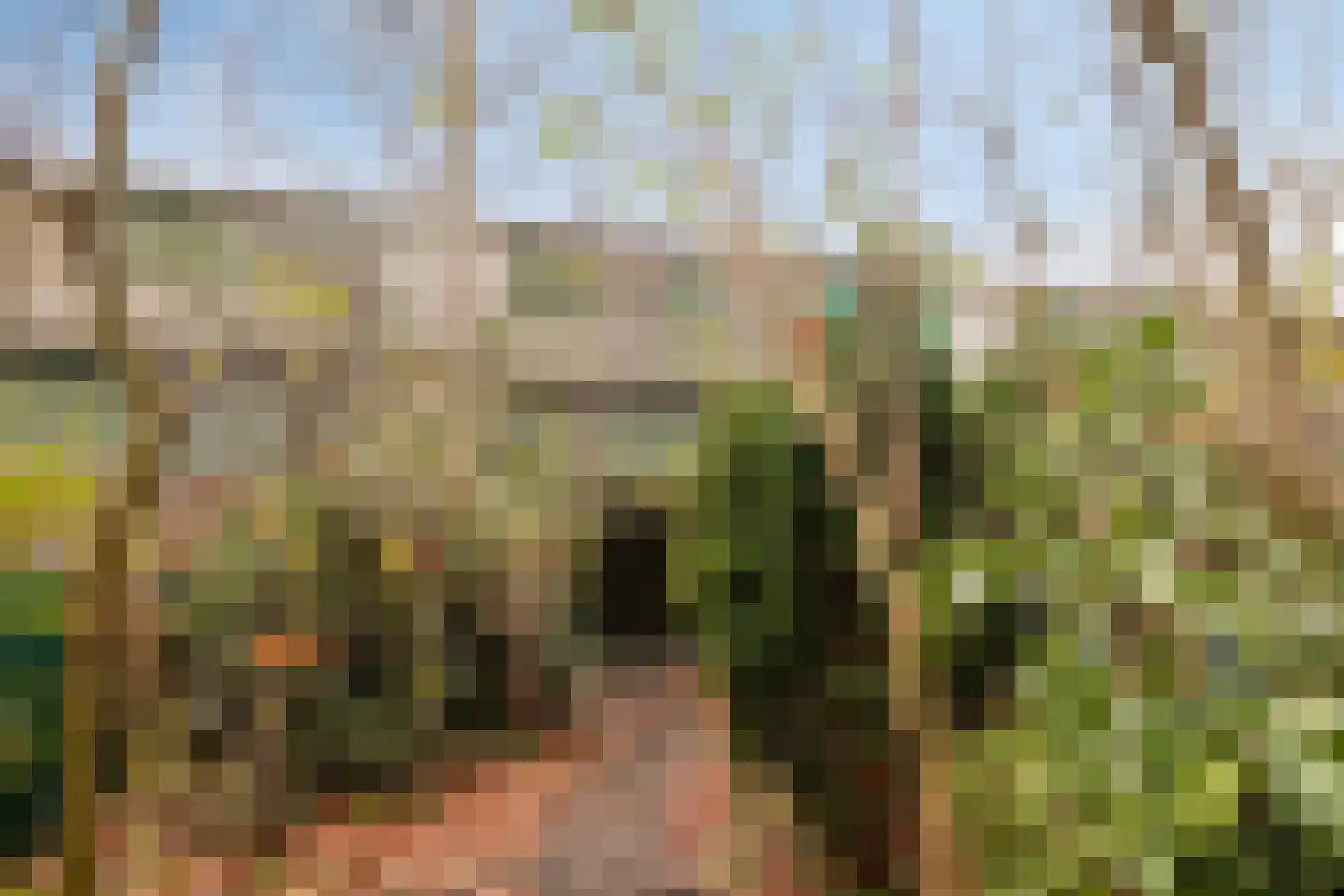 Bastion 463 Lelystad thumbnail 38
