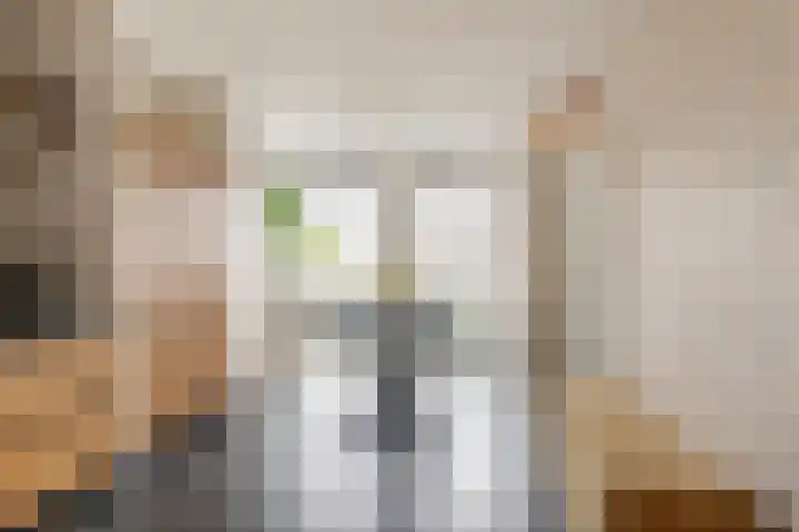 Bastion 5 Tholen thumbnail 10