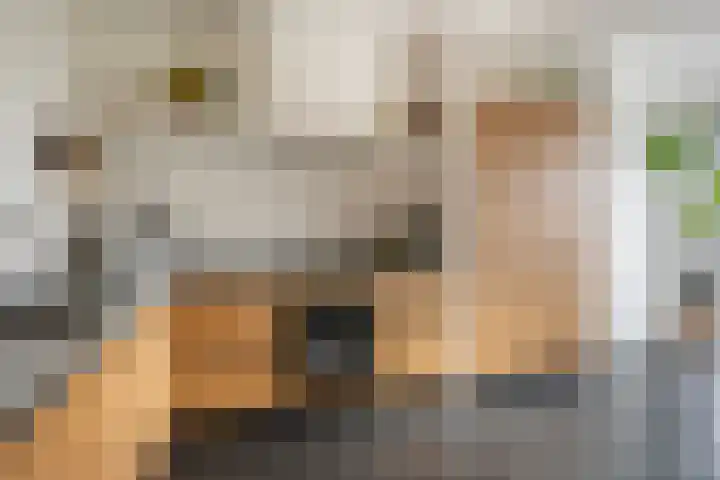 Bastion 5 Tholen thumbnail 11