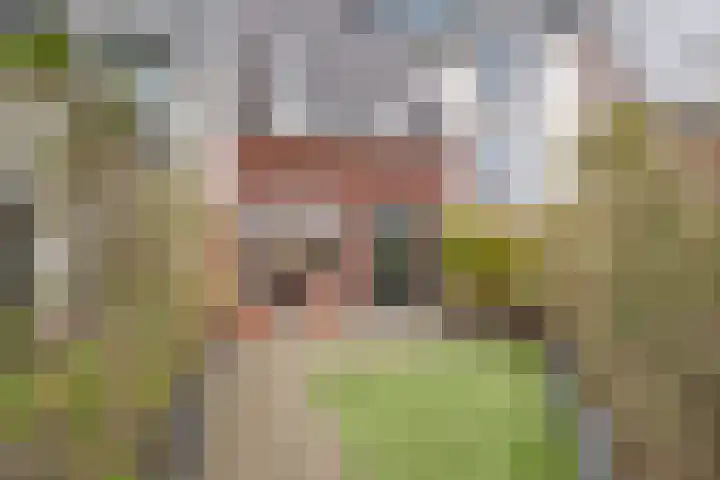 Bastion 5 Tholen thumbnail 31