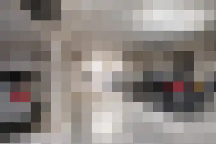 Bastion 5 Tholen thumbnail 34
