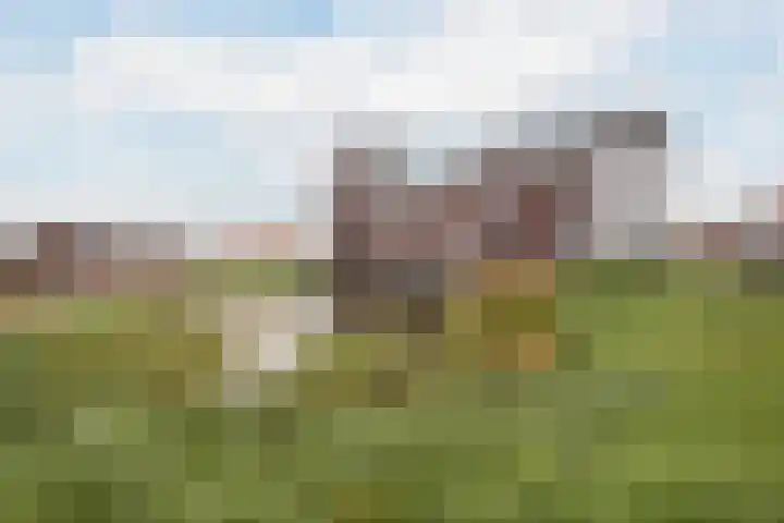 Bastion 5 Tholen thumbnail 6