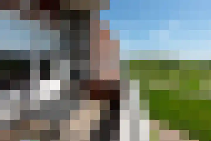 Bastion 51 Wageningen thumbnail 11