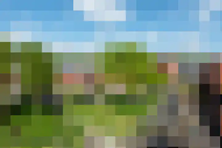 Bastion 51 Wageningen thumbnail 26