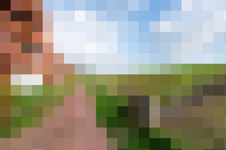 Bastion 51 Wageningen thumbnail 28