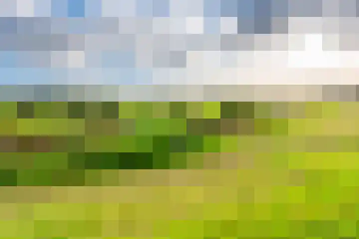 Bastion 51 Wageningen thumbnail 29