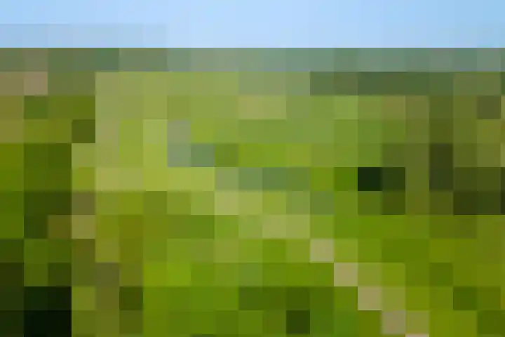 Bastion 51 Wageningen thumbnail 30