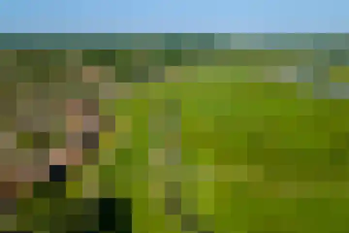 Bastion 51 Wageningen thumbnail 32