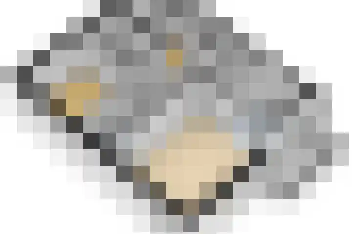 Bastion 51 Wageningen thumbnail 35