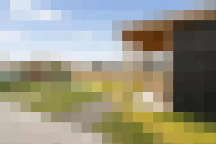 Bastion 6 Culemborg thumbnail 27
