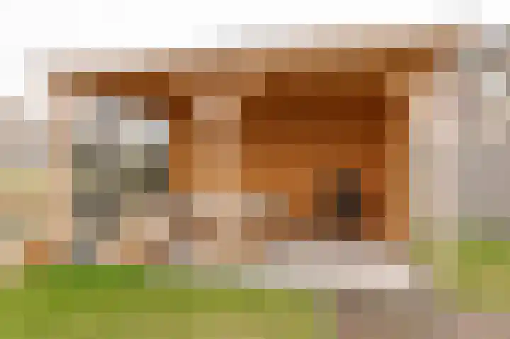 Bastion 6 Culemborg thumbnail 28