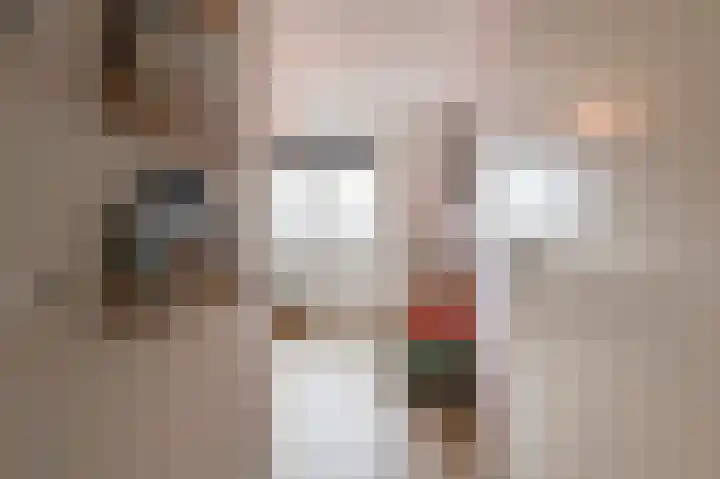Bastion 6 Culemborg thumbnail 36
