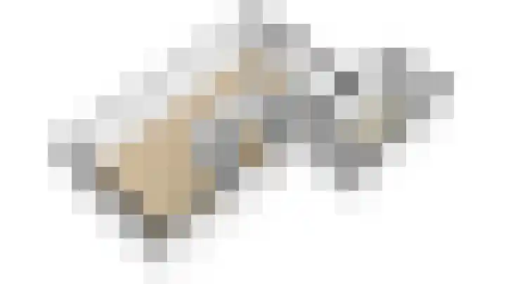 Bastion 6 Culemborg thumbnail 55