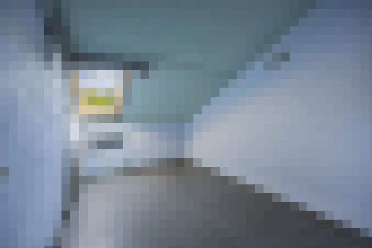 Bastion 68 Lelystad thumbnail 30
