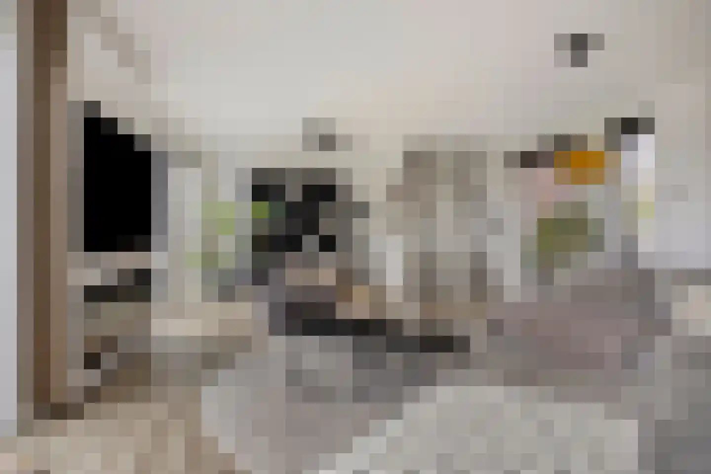 Bastion 7 Tholen thumbnail 17