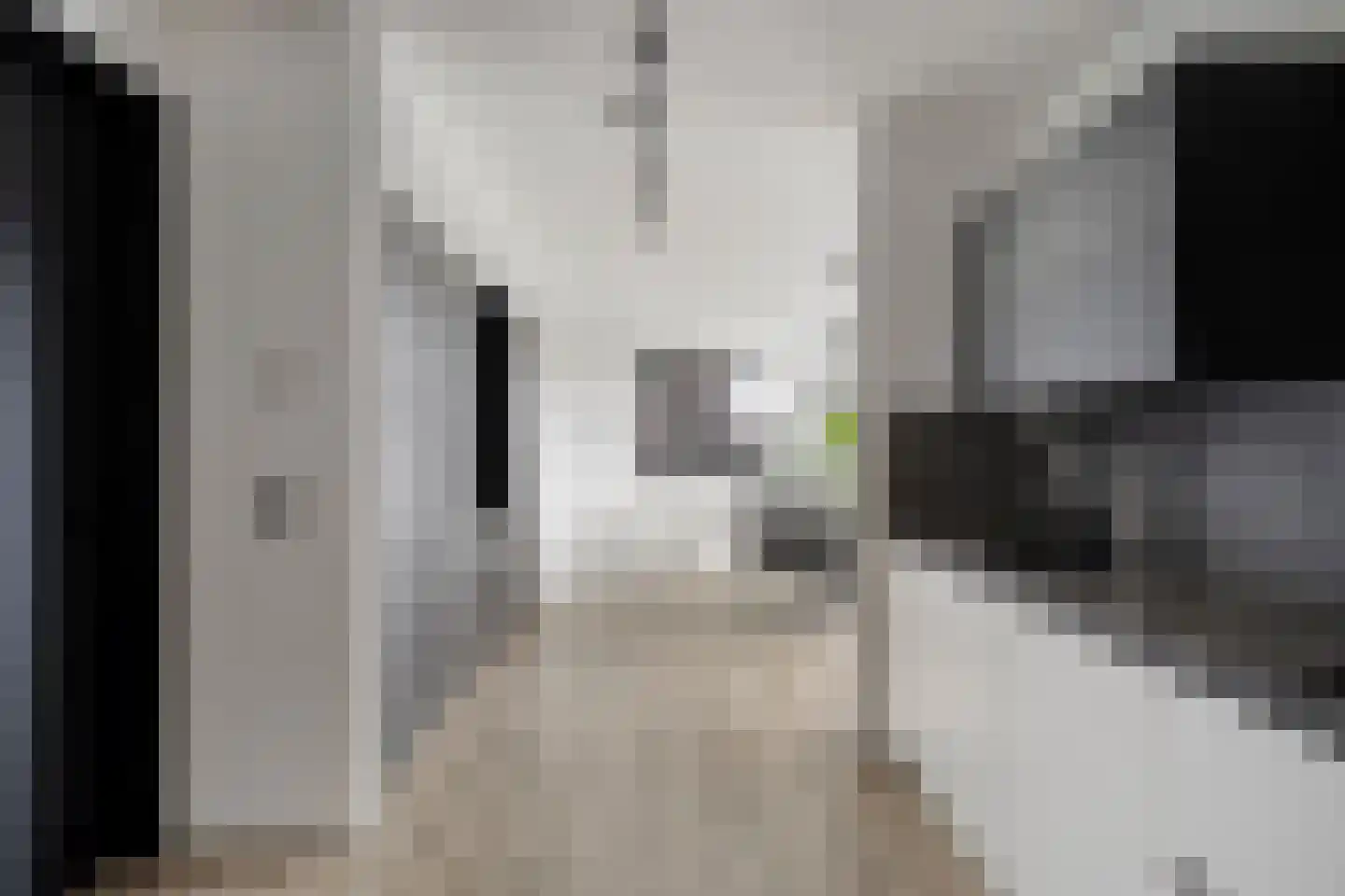 Bastion 7 Tholen thumbnail 8