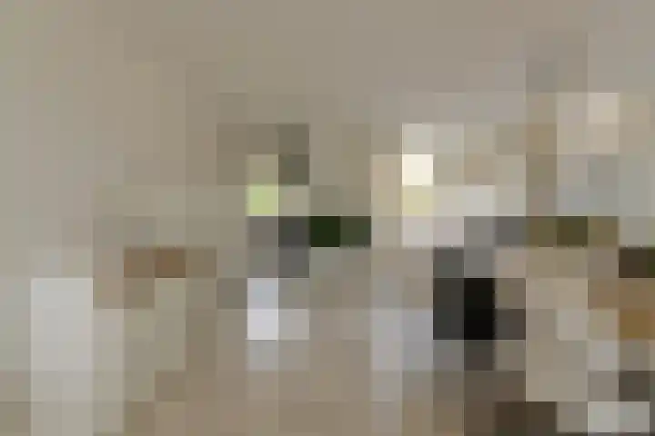 Bastion 8 Terheijden thumbnail 14
