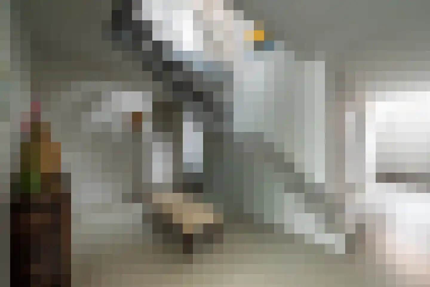 Bastion 8 Terheijden thumbnail 20