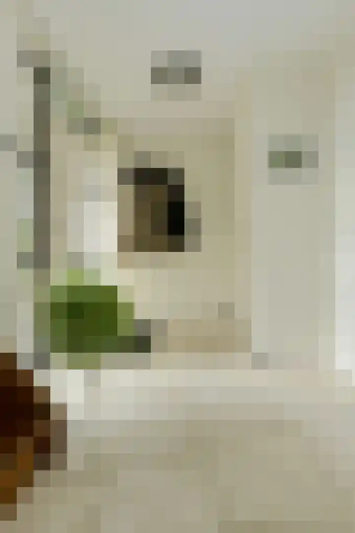 Bastion 8 Terheijden thumbnail 23