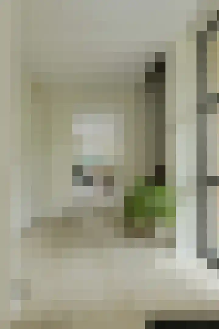 Bastion 8 Terheijden thumbnail 25