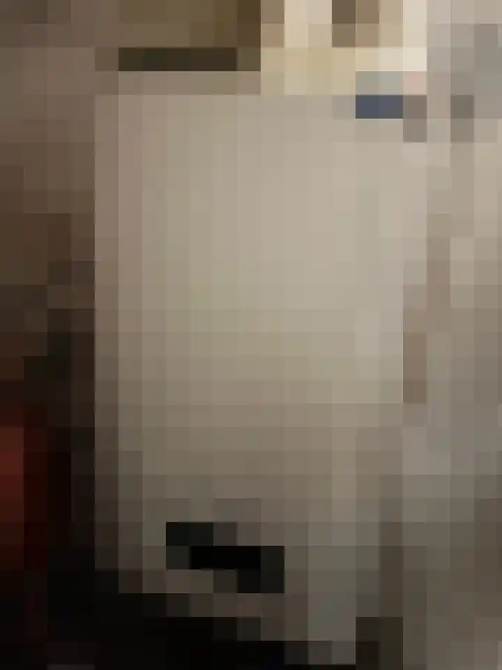 Bastion 8 Terheijden thumbnail 26