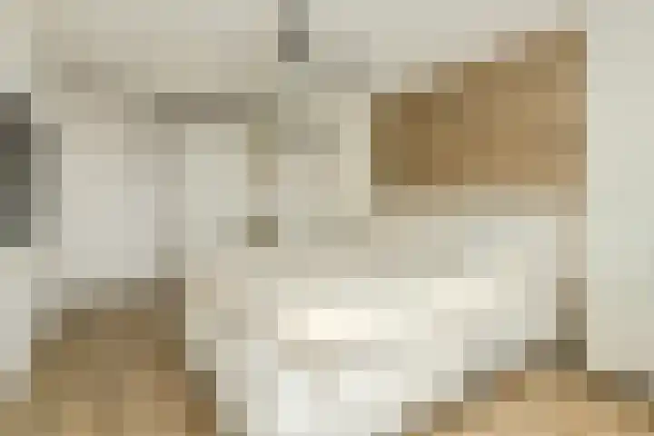 Bastion 8 Terheijden thumbnail 29